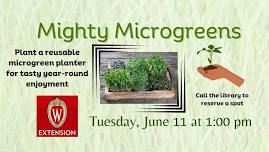 Cultivate Learning with Mighty Microgreens