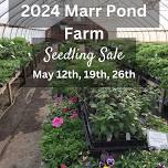 Marr Pond Farm Seedling Sale