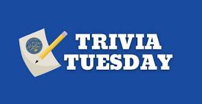 Trivia Tuesday at The Skylight Bar