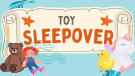 Toy Sleepover