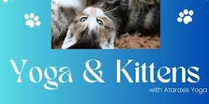 Yoga & Kittens with Ataraxis Yoga