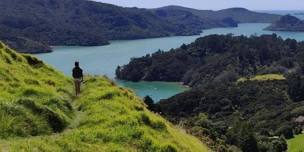 Northland Taitokerau Regional Trails Hui - Kaipara