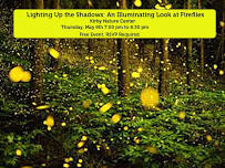 Lighting up the Shadows: An Illuminating Look at Fireflies with Matthew Speights