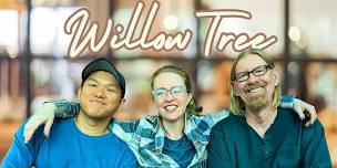 Willow Tree at the Armadillo