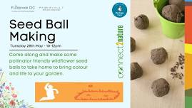 Seed Ball Making