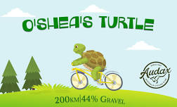 O'Shea's Turtle