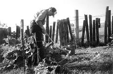 Dry land gardening workshop — Moon-Randolph Homestead