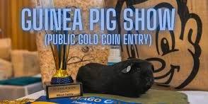 Guinea Pig Show