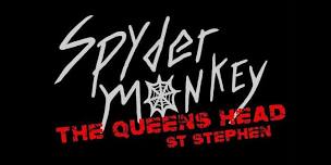 SPYDER MONKEY - LIVE - QUEENS HEAD, ST STEPHEN