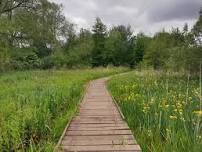 Ranger walk on Blakemarsh Nature Reserve