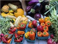 OPENING DAY AT THE WALPOLE FARMERS MARKET