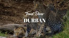 DURBAN 2024