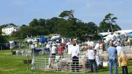 Woolsery Agricultural Show, in aid of local charities