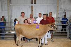 4-H Dairy Feeder Calf 101