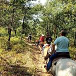 Memorial Day Getaway Trail Ride