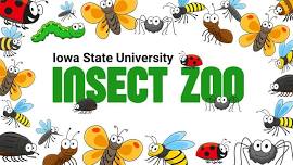 The Insect Zoo