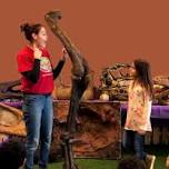 DINOSAURS ROCK® Fossil Adventure