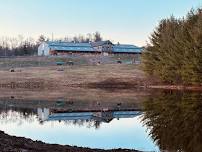 Oakendale Farm Summer Equestrian Program #1