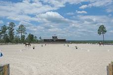 USEF/USDF Summer Solstice Dressage