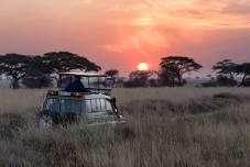 5 days, 4 nights3 parks go on Safari!  — uaetrekkers