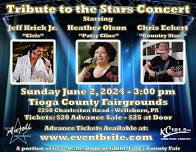 Tribute to the Stars Concert