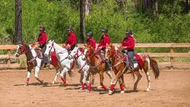 Gold Nugget Days Horse Festival