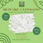 Draw Like a Naturalist