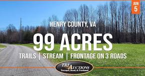 Land Auction- 99 Acres in Henry Co, VA