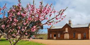 Cooma Cottage - General Entry