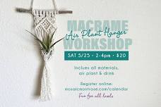 Macrame Air Plant Hanger Workshop