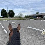 Evening Test Riding clinic - *NEW 2024 BD TESTS*