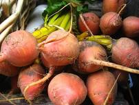 Ask-a-Master-Gardener Table at Brattleboro Area Farmer's Market