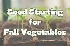 Seed Starting for Fall Vegetables