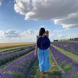 Pick your own Lavender Farm