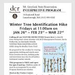 Winter Tree Identification Hike