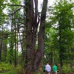 TUESDAY TRAILS - Baker Woods Preserve