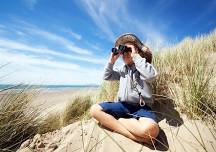 Junior Whale Spotter Training