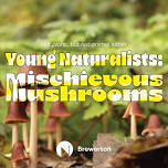 Young Naturalists: Mischievous Mushrooms