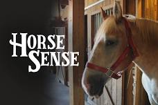 Horse Sense