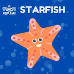 Starfish Swim Lessons - PM 1