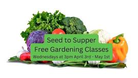 Seed to Supper - Gardening on a Budget