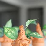 Free Wednesday Children's Activity- Mandrake Pots