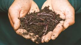 Composting Trilogy - Part 1: Let's Talk - Worm Farm 101