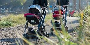 Buggy Health Walk