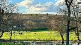 Yoga on the Ranch