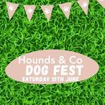 Hounds & Co Dogfest