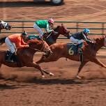 Preakness Stakes Watch Party