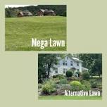 Alternatives to Lawns