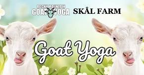 Goat Yoga - June 1st (Skål Farm)