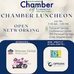 2024 July Chamber Networking Luncheon